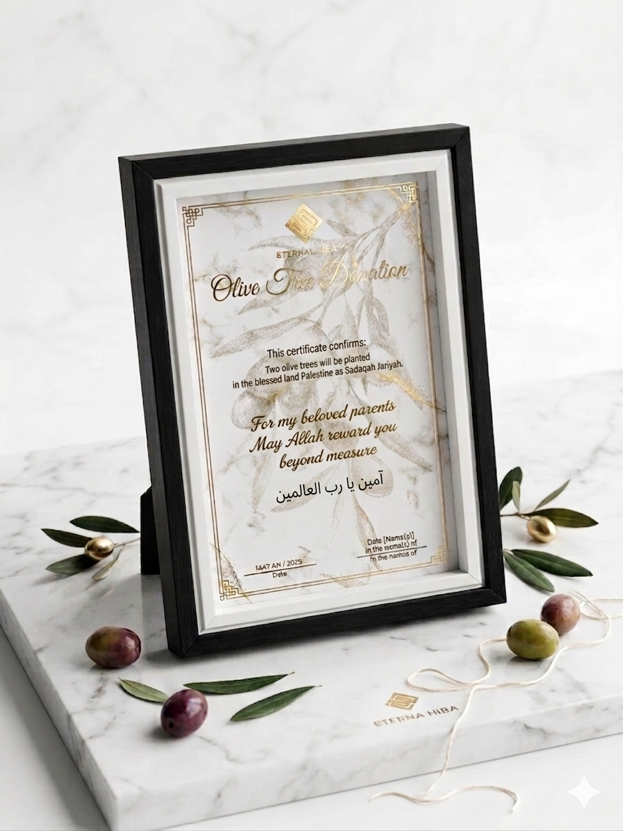 Framed Certificate
