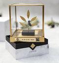 Olive Tree Gift