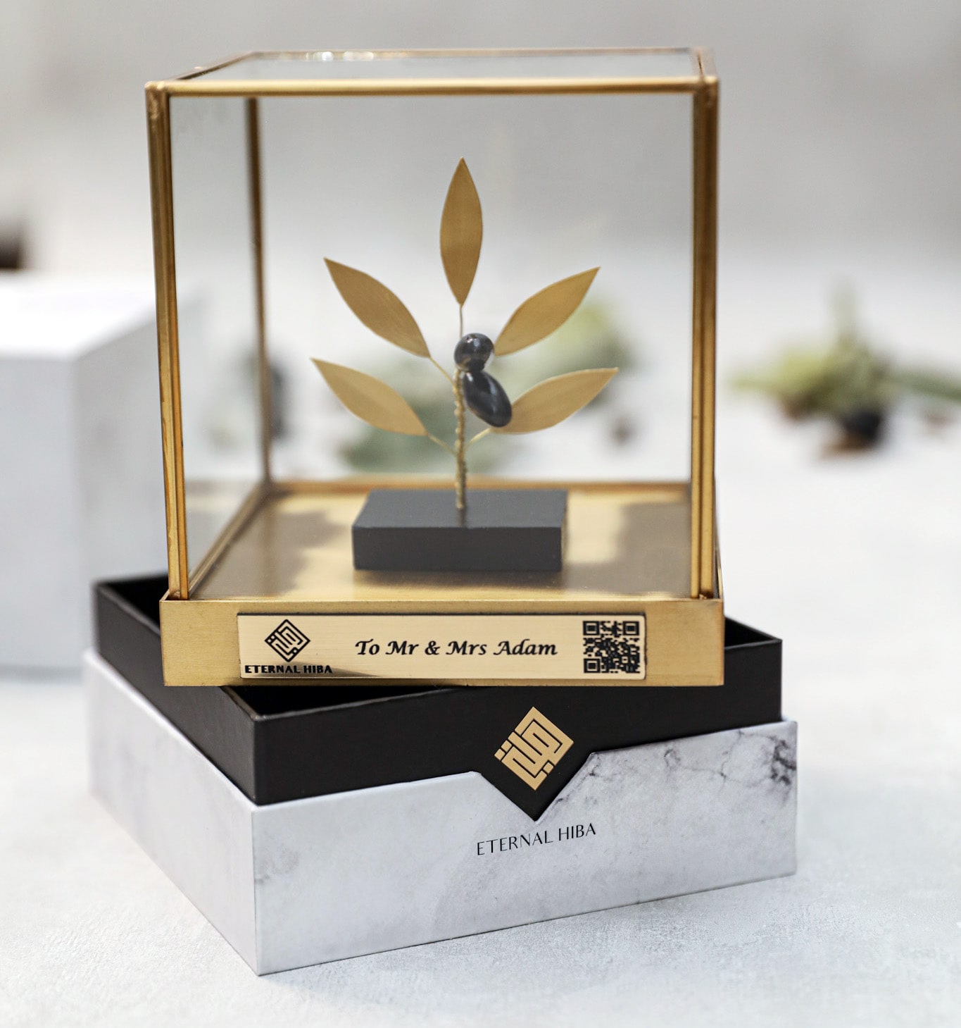 Olive Tree Gift